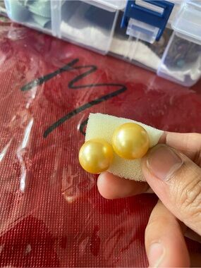 Golden Pearl Stud Earrings - Classic Women's Jewelry